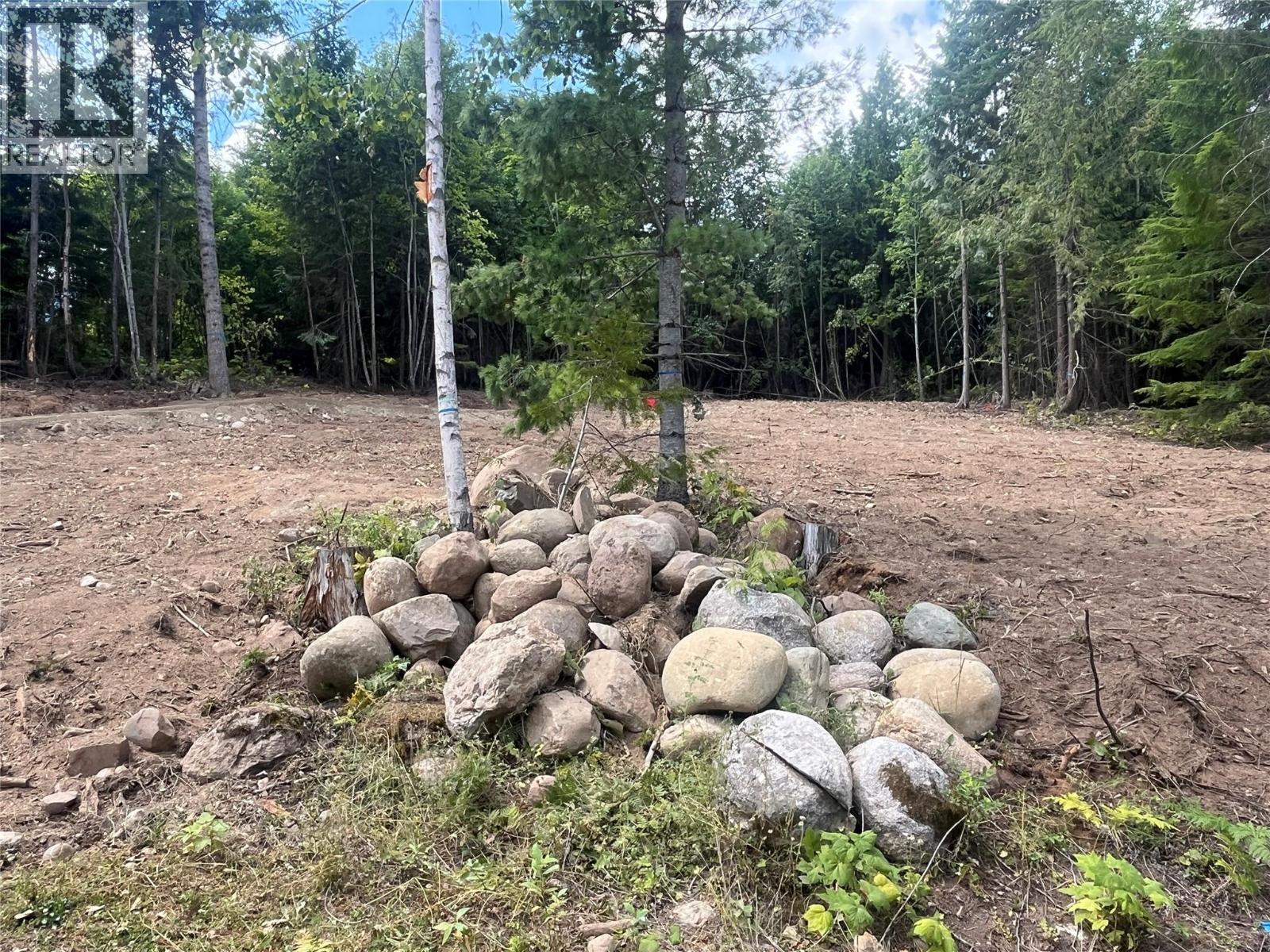 Lot 2 Balfour Avenue, Kaslo, British Columbia V0G 1M0 - Photo 13 - 10395970