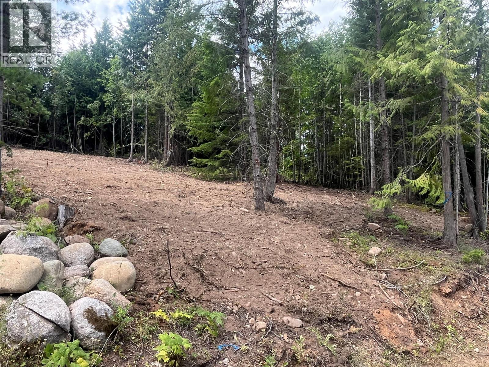 Lot 2 Balfour Avenue, Kaslo, British Columbia V0G 1M0 - Photo 15 - 10395970
