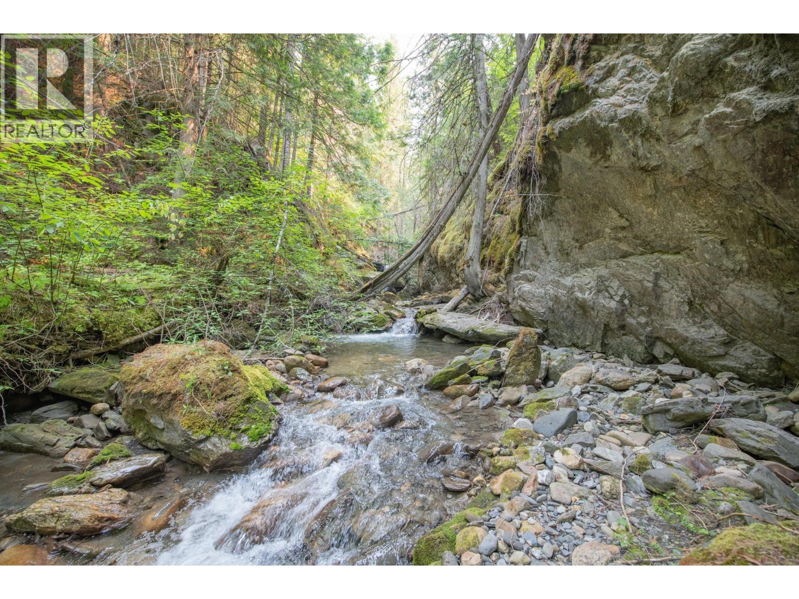 160 Trinity Valley Road, Lumby, British Columbia V0E 2G4 - Photo 10 - 10395423