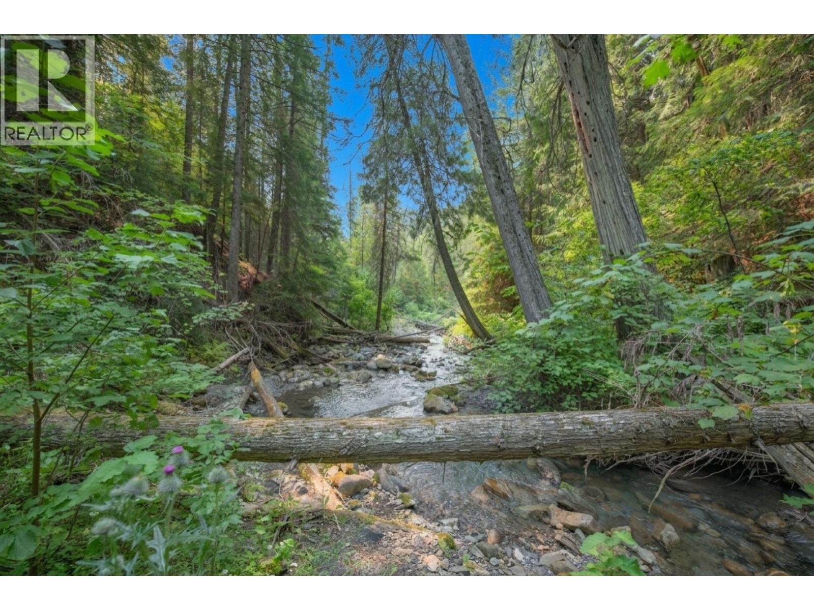 160 Trinity Valley Road, Lumby, British Columbia V0E 2G4 - Photo 12 - 10395423