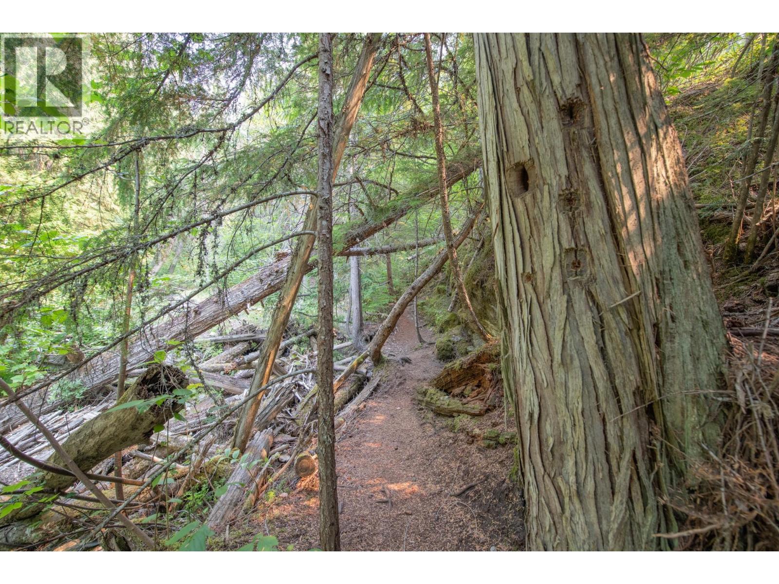 160 Trinity Valley Road, Lumby, British Columbia V0E 2G4 - Photo 13 - 10395423