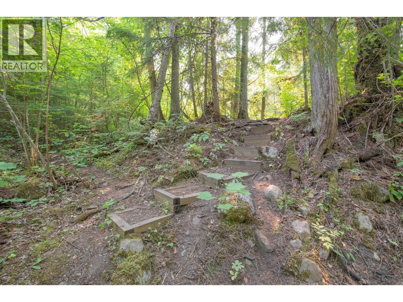 160 Trinity Valley Road, Lumby, British Columbia V0E 2G4 - Photo 16 - 10395423
