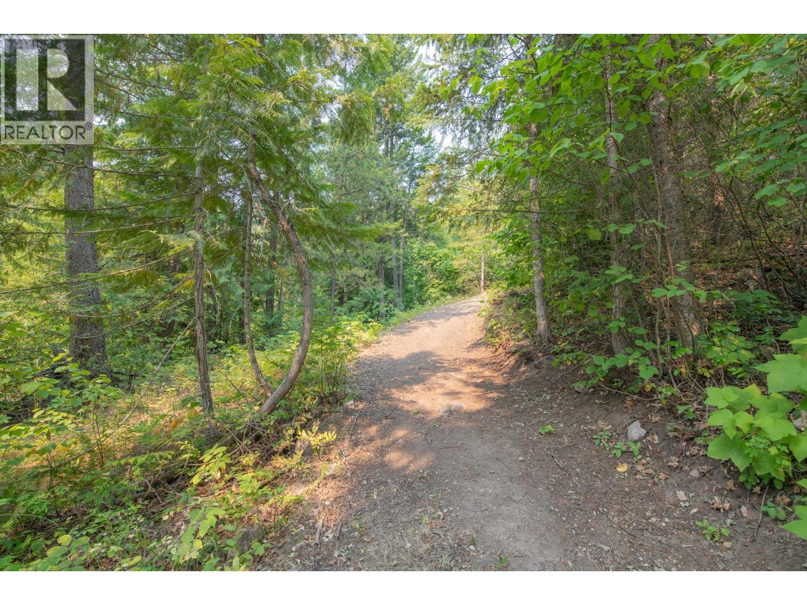 160 Trinity Valley Road, Lumby, British Columbia V0E 2G4 - Photo 18 - 10395423