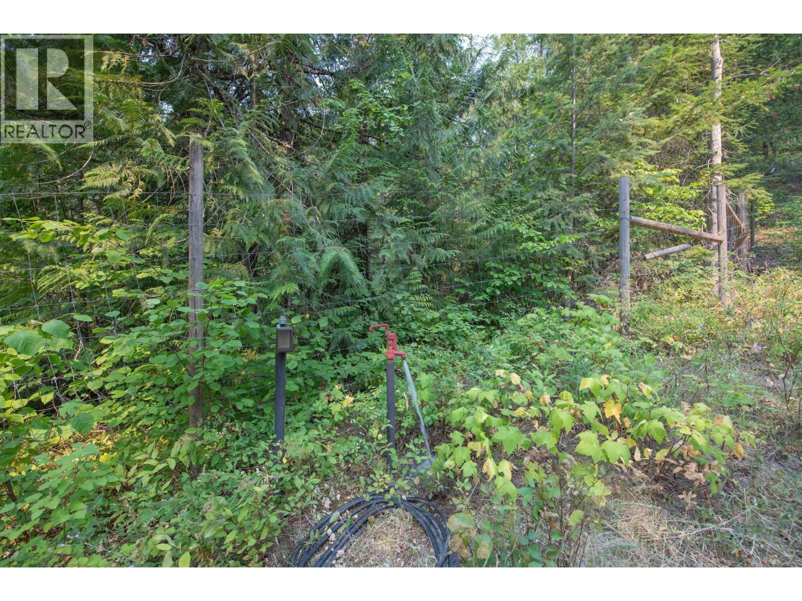 160 Trinity Valley Road, Lumby, British Columbia V0E 2G4 - Photo 37 - 10395423
