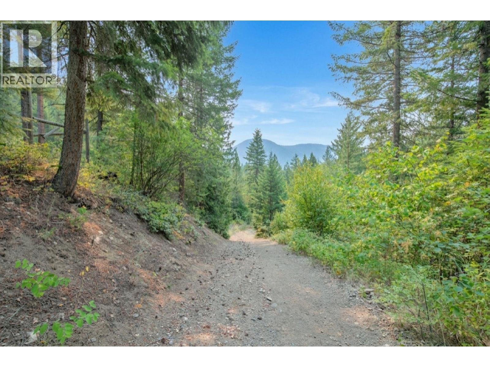 160 Trinity Valley Road, Lumby, British Columbia V0E 2G4 - Photo 40 - 10395423