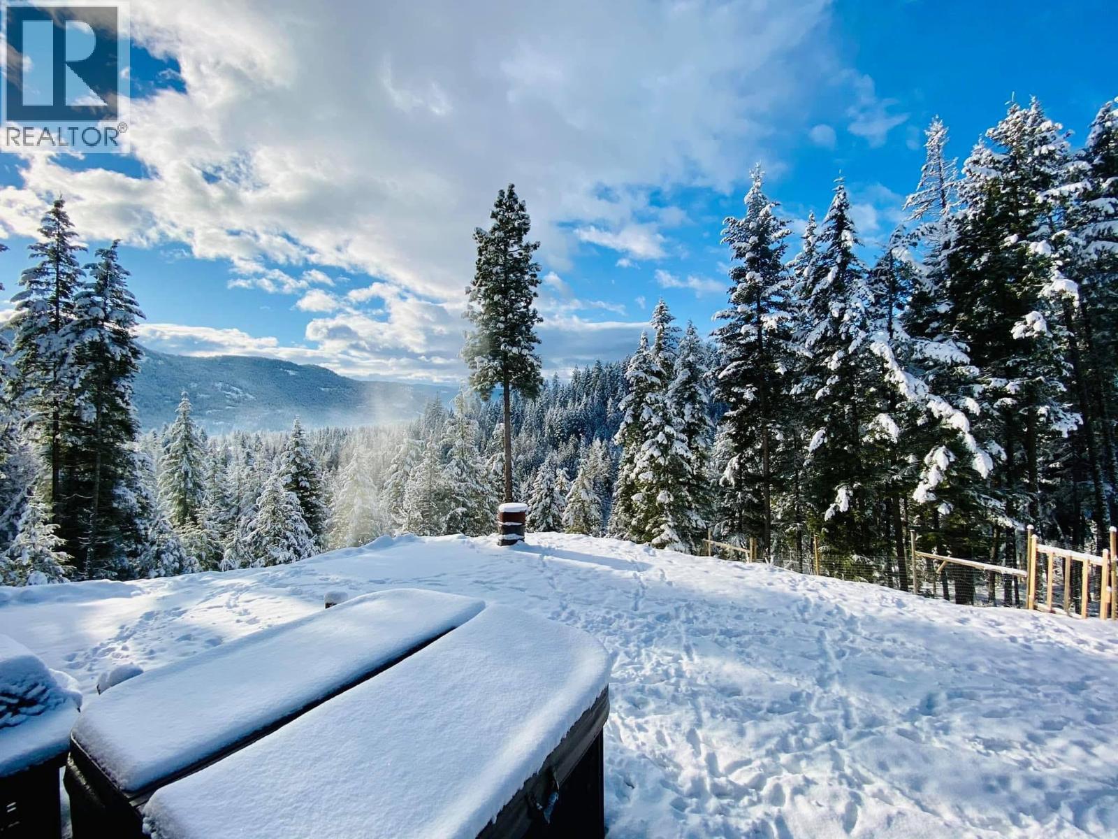 160 Trinity Valley Road, Lumby, British Columbia V0E 2G4 - Photo 46 - 10395423