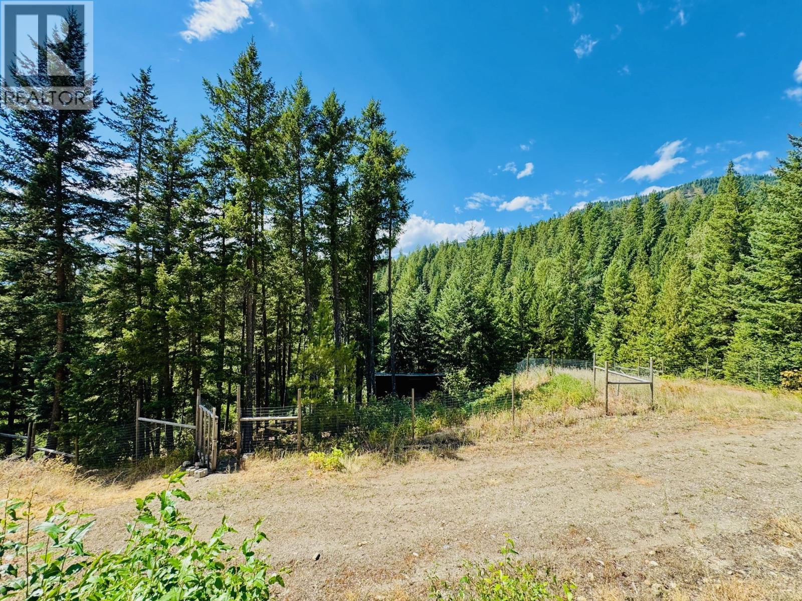 160 Trinity Valley Road, Lumby, British Columbia V0E 2G4 - Photo 51 - 10395423