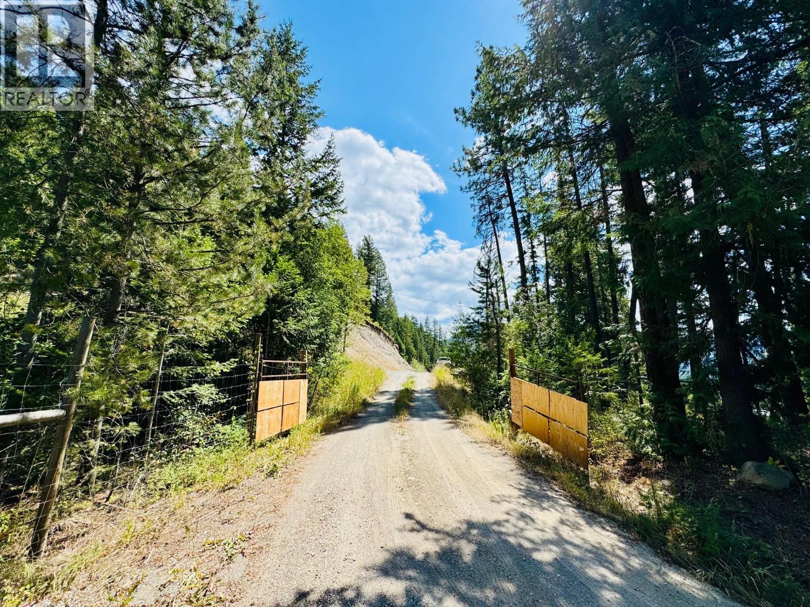 160 Trinity Valley Road, Lumby, British Columbia V0E 2G4 - Photo 52 - 10395423