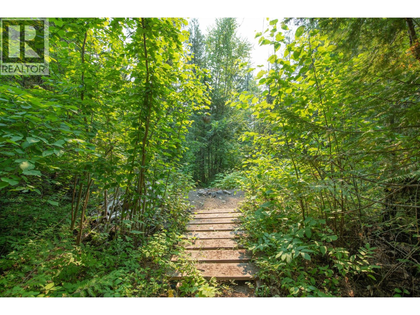160 Trinity Valley Road, Lumby, British Columbia V0E 2G4 - Photo 6 - 10395423
