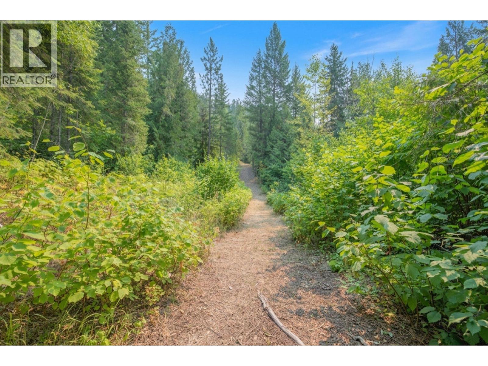 160 Trinity Valley Road, Lumby, British Columbia V0E 2G4 - Photo 7 - 10395423
