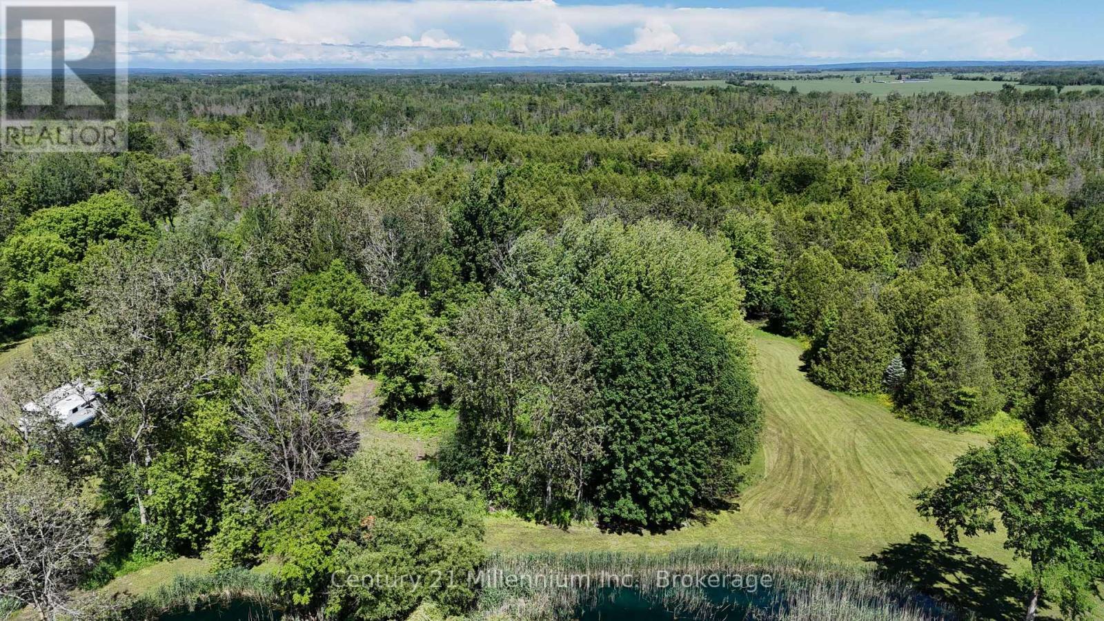 1547 County 42 Road, Clearview, Ontario  L0M 1S0 - Photo 8 - S12911660