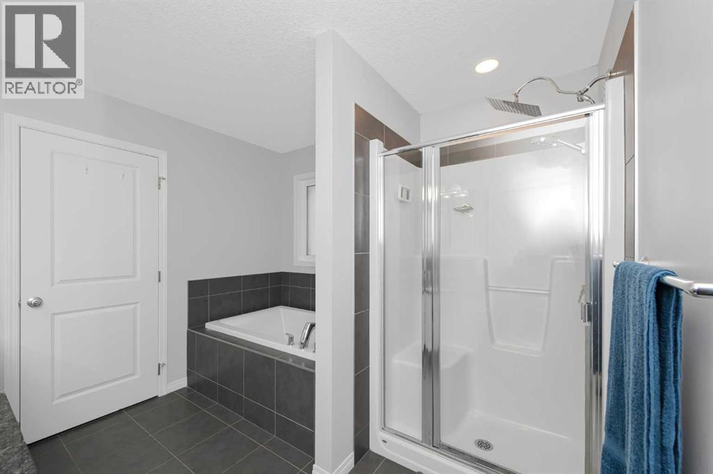 161 Red Sky Way NE, Calgary, Alberta  T3N 0X7 - Photo 19 - A2331007