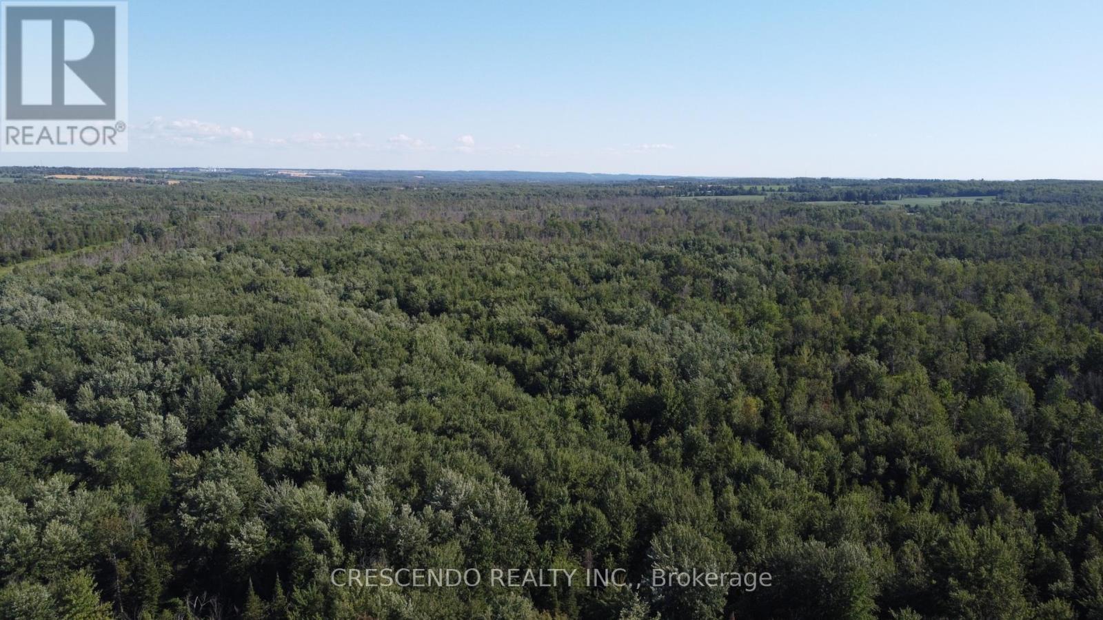 2687 Innisfil Beach Road, Innisfil, Ontario  L9S 4C5 - Photo 7 - N13534822
