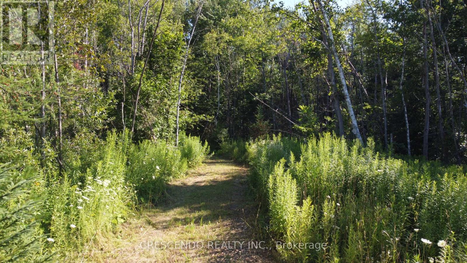 2687 Innisfil Beach Road, Innisfil, Ontario  L9S 4C5 - Photo 4 - N13534822