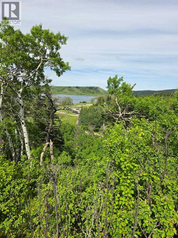 26 Lakeview Drive, Rural Cypress County, Alberta  T0J 1C0 - Photo 17 - A2323379