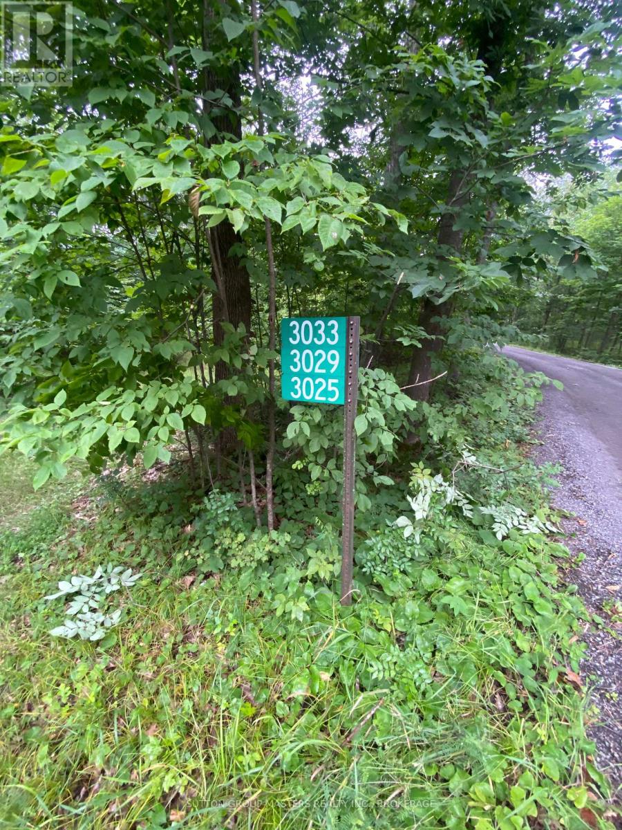 3025 Old Fourteen Island Lane, Frontenac, Ontario  K0H 2W0 - Photo 15 - X13623832
