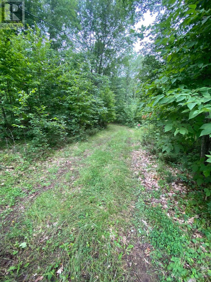 3025 Old Fourteen Island Lane, Frontenac, Ontario  K0H 2W0 - Photo 17 - X13623832