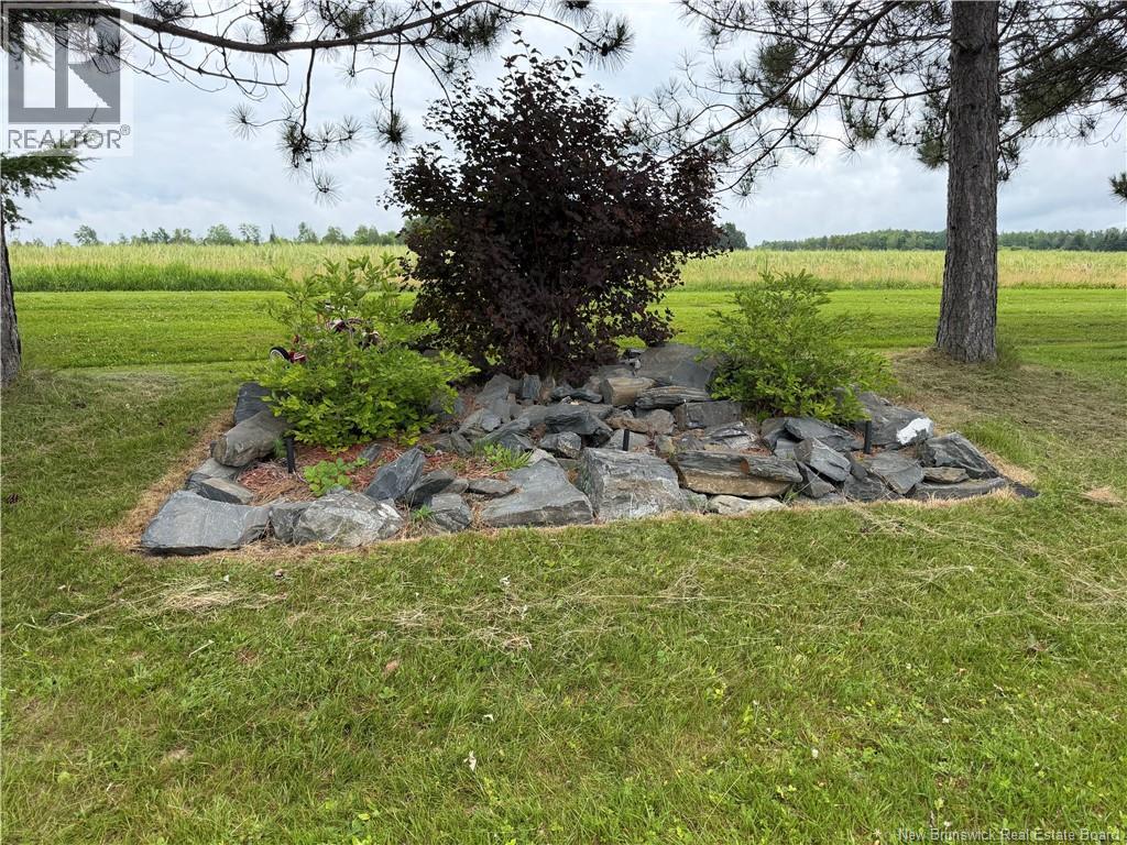 7173 Rte 17, Kedgwick, New Brunswick  E8B 1W4 - Photo 26 - NB145104