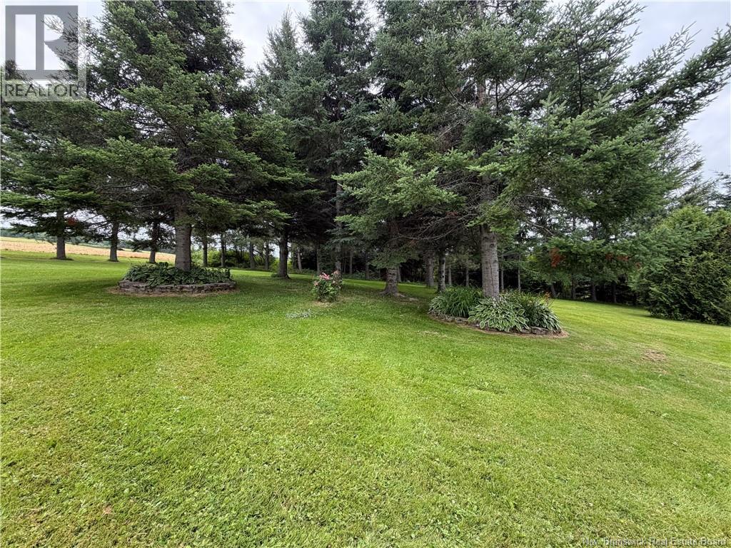 7173 Rte 17, Kedgwick, New Brunswick  E8B 1W4 - Photo 28 - NB145104