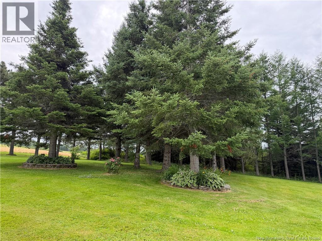 7173 Rte 17, Kedgwick, New Brunswick  E8B 1W4 - Photo 29 - NB145104