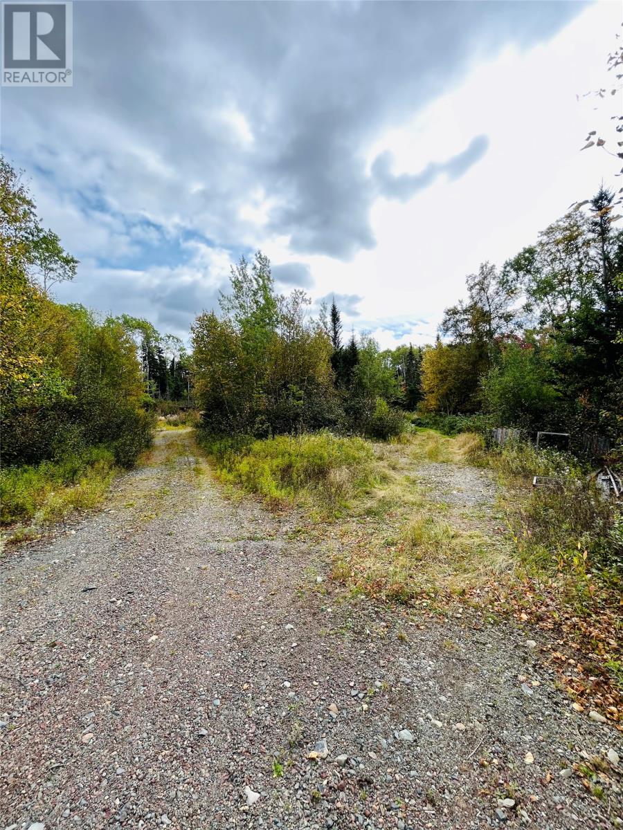 117 Askels Cove Road, Western Arm, Newfoundland & Labrador A0H 1Z0 - Photo 2 - 1301100