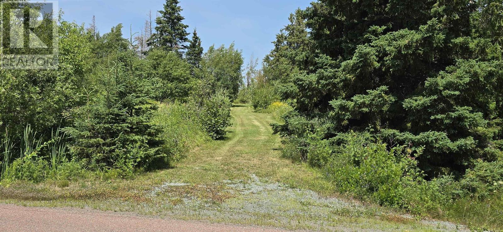 picture 23