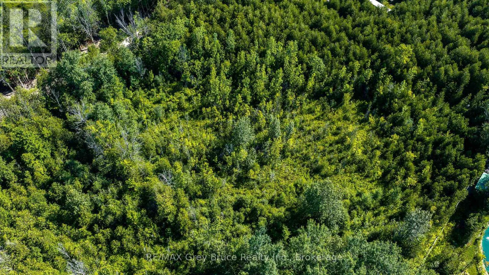 563878 Holland Glenelg Townline, West Grey, Ontario  N0C 1H0 - Photo 34 - X13623964