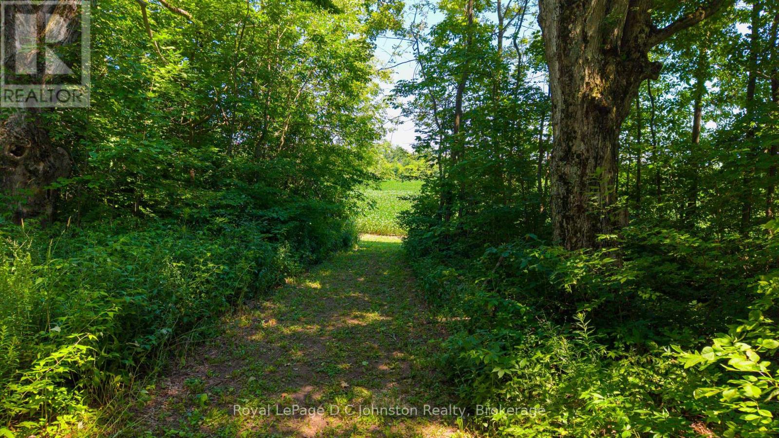 305 Sideroad 25, Kincardine, Ontario  N0G 2T0 - Photo 3 - X13624012