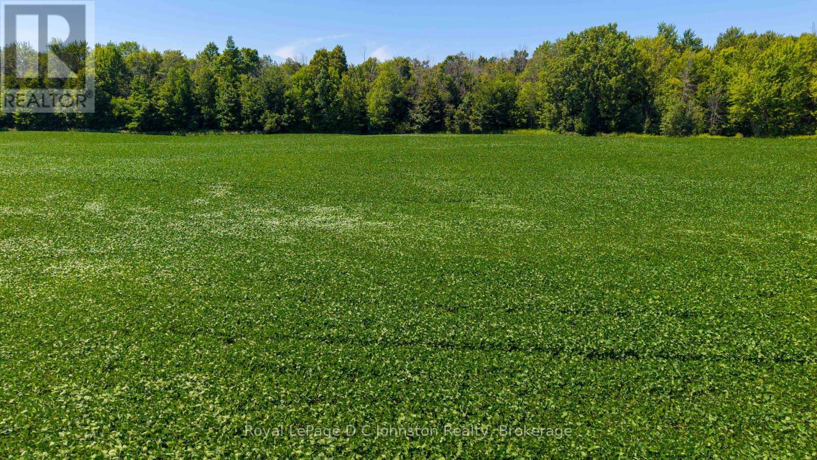 305 Sideroad 25, Kincardine, Ontario  N0G 2T0 - Photo 6 - X13624012
