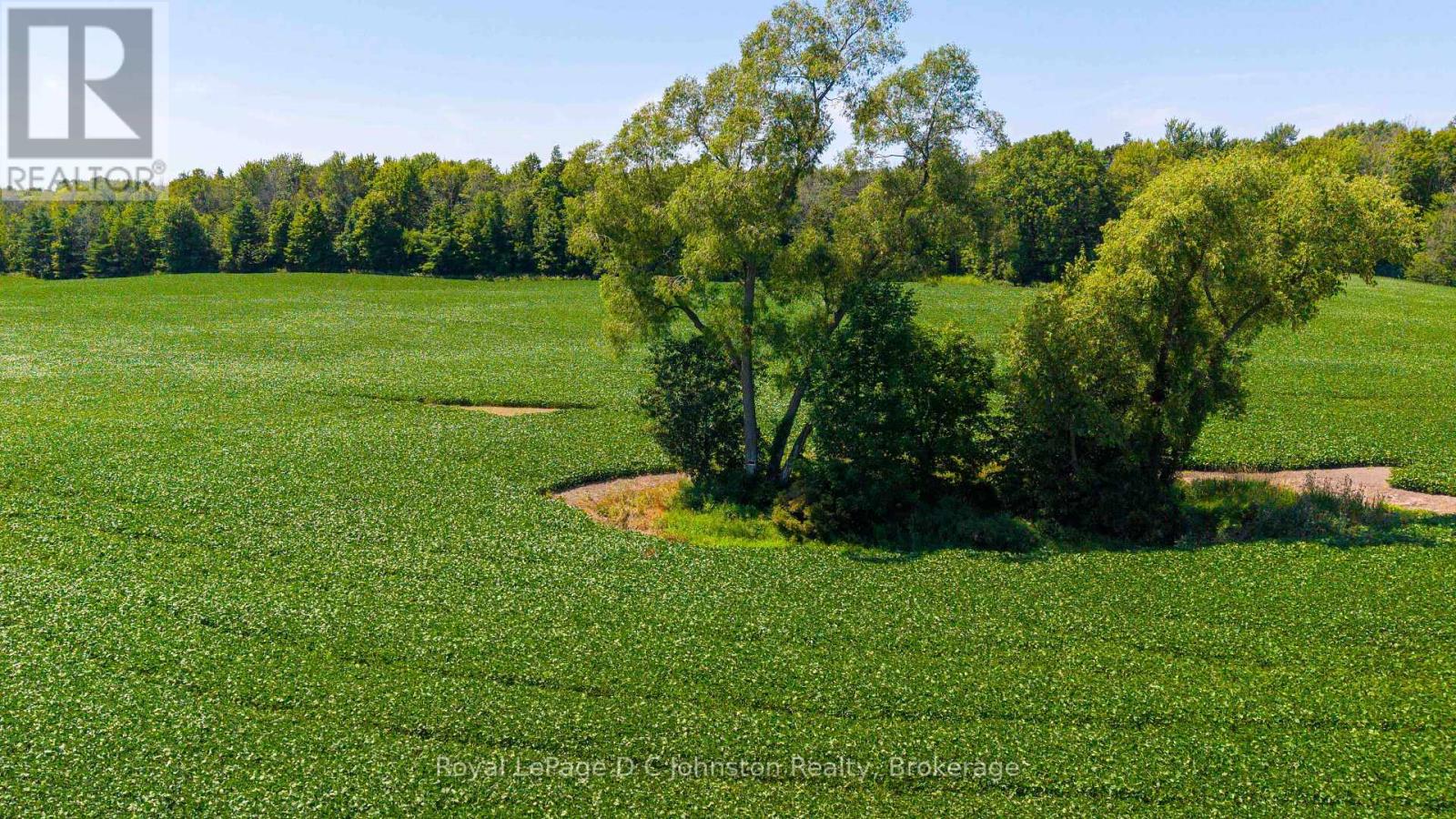 305 Sideroad 25, Kincardine, Ontario  N0G 2T0 - Photo 7 - X13624012