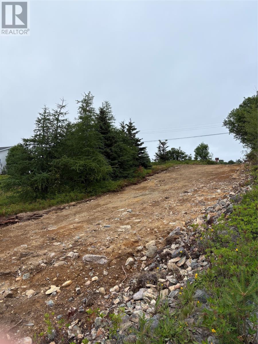 0 Sod Lane, Bay Roberts, Newfoundland & Labrador  A0A 1W0 - Photo 5 - 1301213