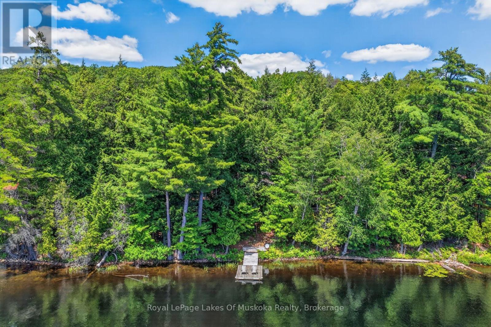 1199 North Waseosa Lake Road, Huntsville (Chaffey), Ontario  P1H 2J4 - Photo 3 - X13624150