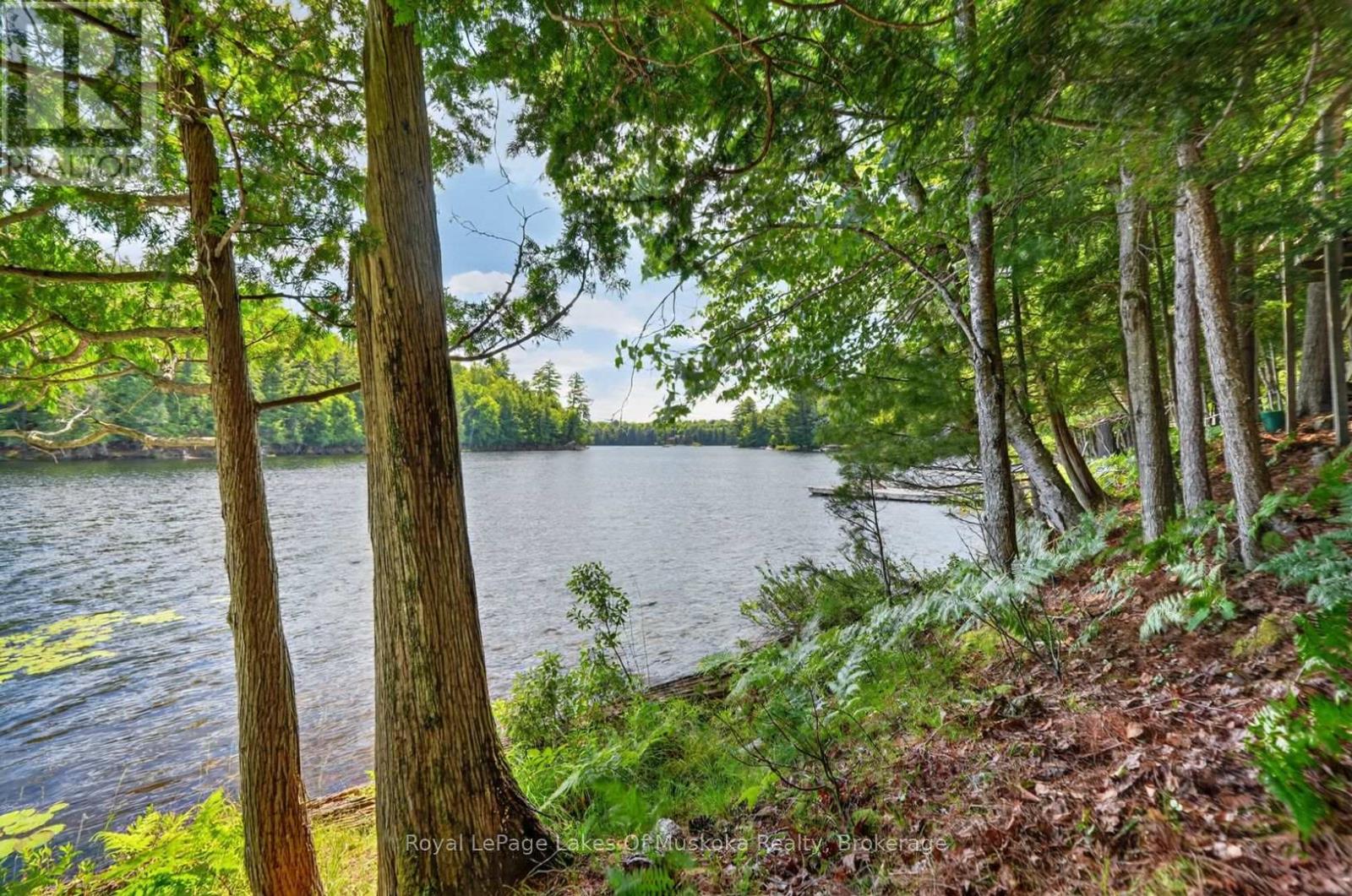 1199 North Waseosa Lake Road, Huntsville (Chaffey), Ontario  P1H 2J4 - Photo 34 - X13624150