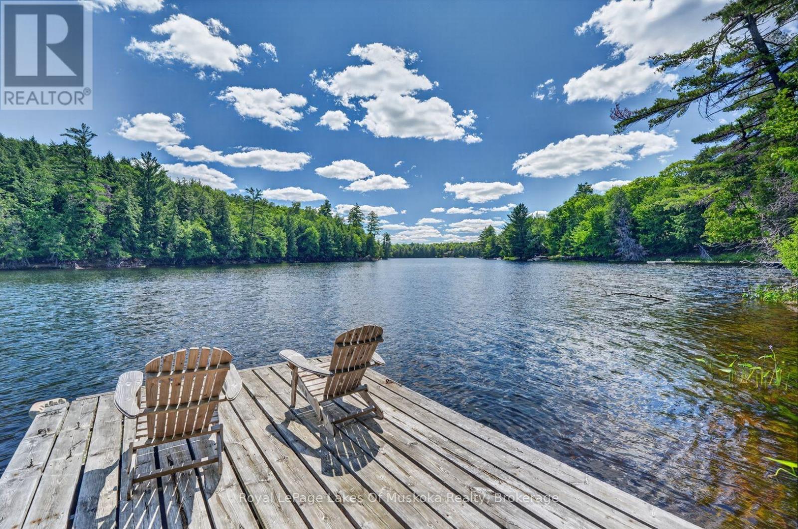 1199 North Waseosa Lake Road, Huntsville (Chaffey), Ontario  P1H 2J4 - Photo 38 - X13624150