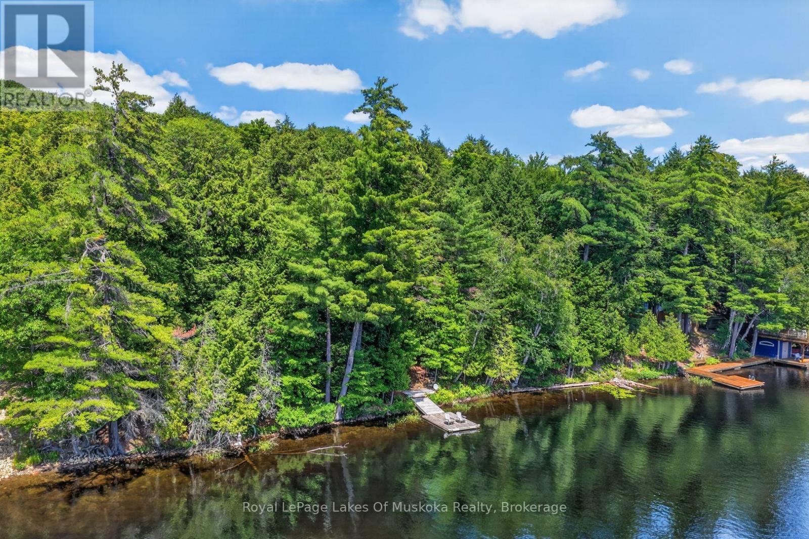 1199 North Waseosa Lake Road, Huntsville (Chaffey), Ontario  P1H 2J4 - Photo 39 - X13624150