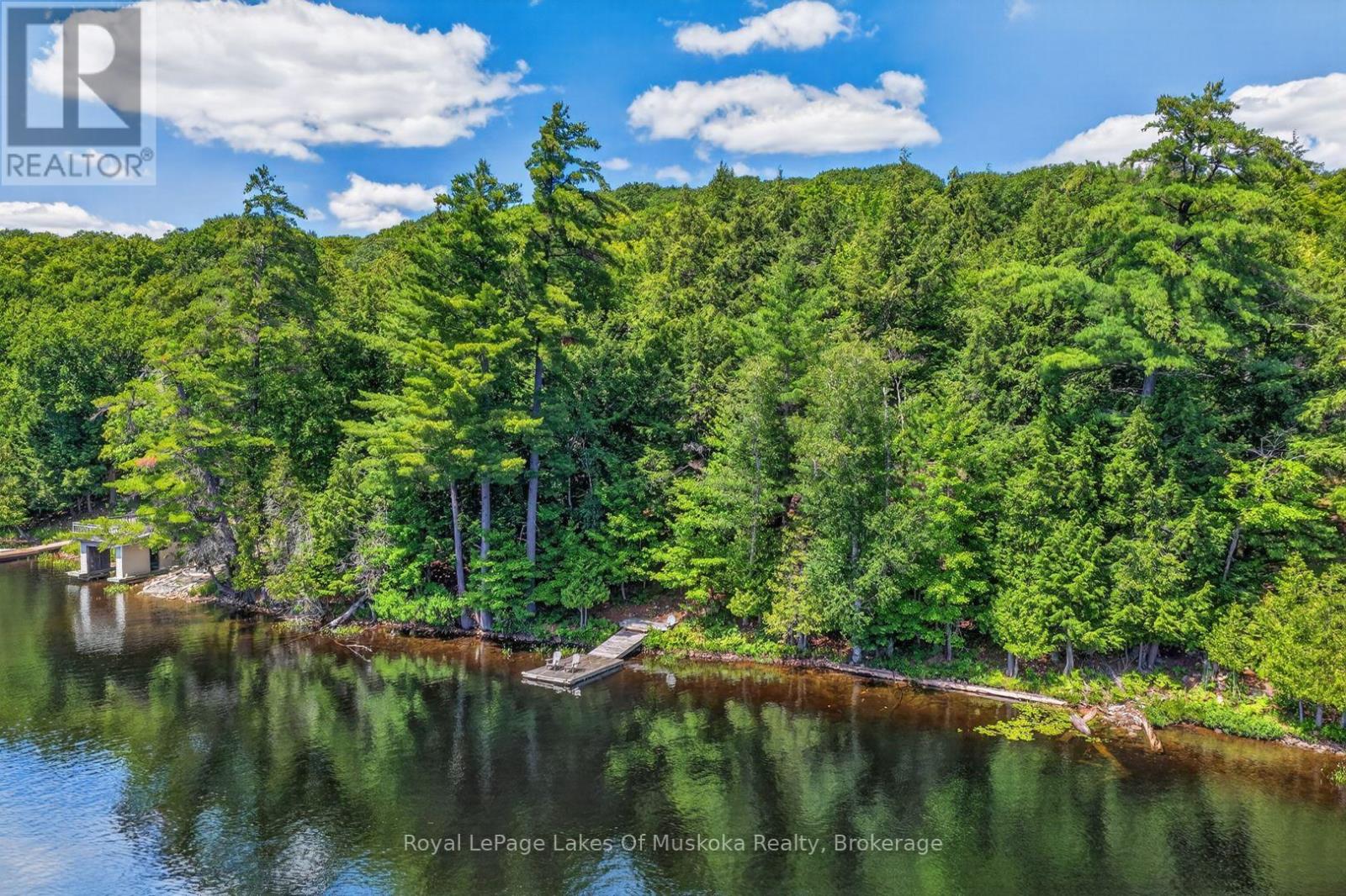 1199 North Waseosa Lake Road, Huntsville (Chaffey), Ontario  P1H 2J4 - Photo 4 - X13624150
