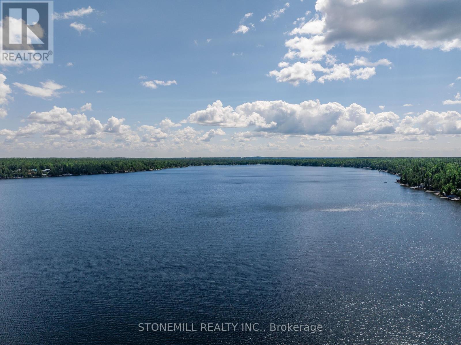 56 Griffin Drive, Kawartha Lakes, Ontario  K0M 1K0 - Photo 37 - X13624116