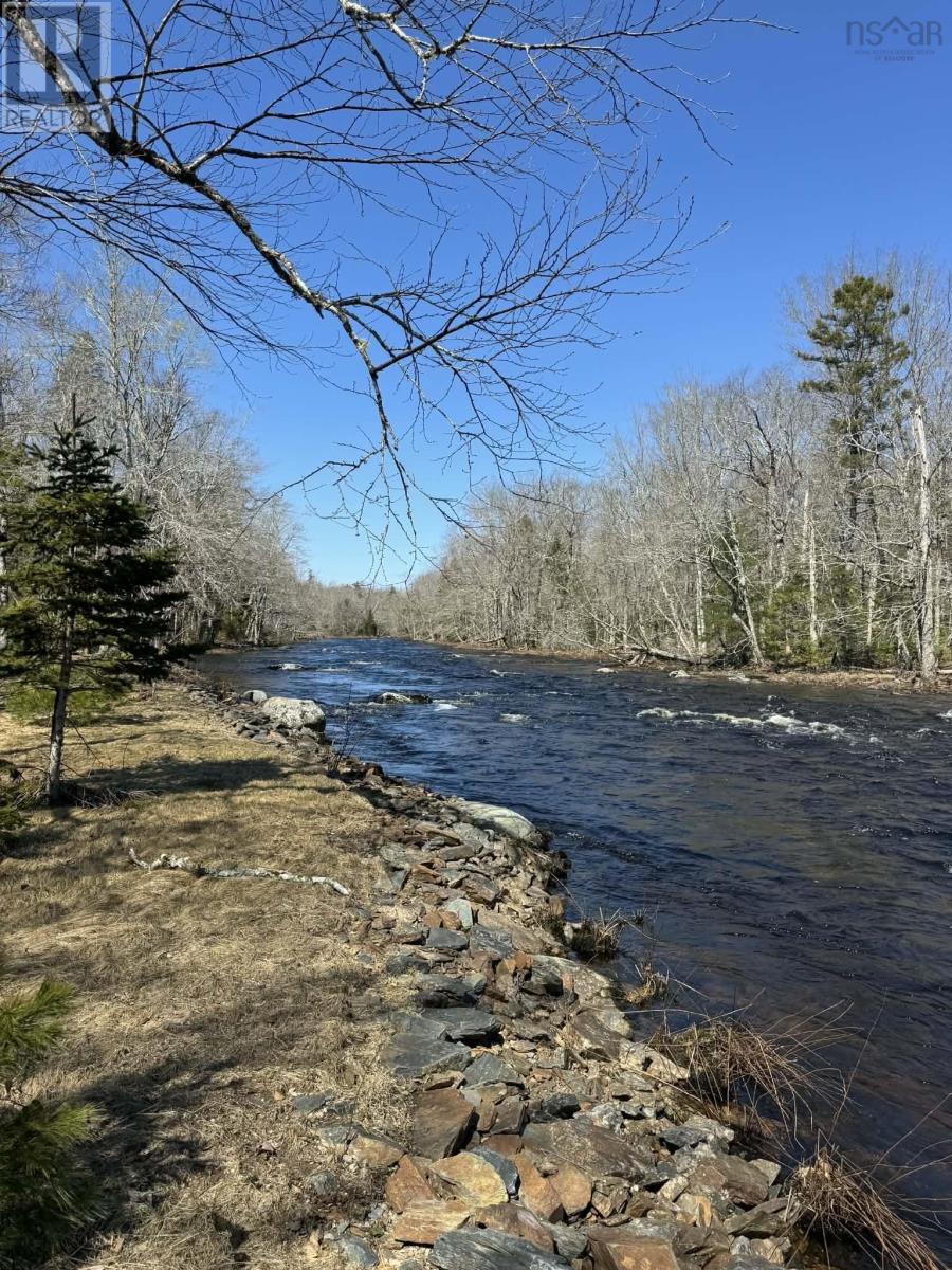 picture 44