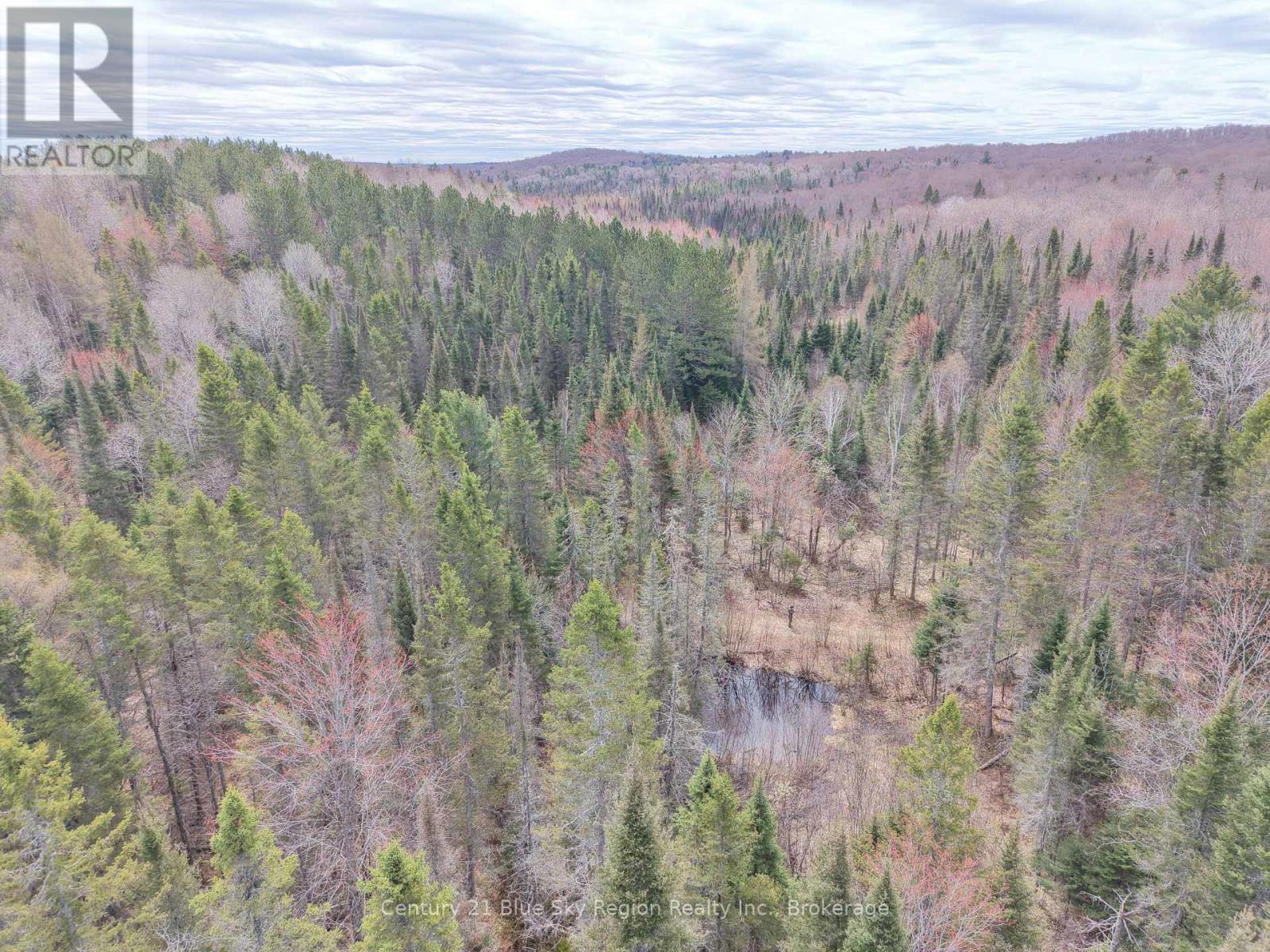 Lot 2, 3, 4, 5, Con 4 Old Nipissing Road, Nipissing, Ontario  P0H 1Z0 - Photo 10 - X13624446