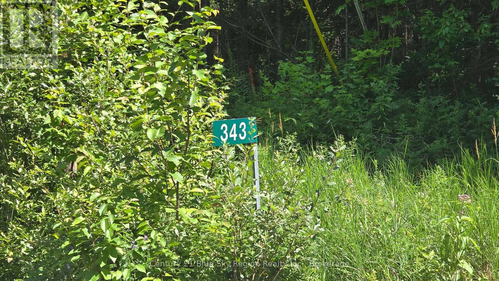 Lot 2, 3, 4, 5, Con 4 Old Nipissing Road, Nipissing, Ontario  P0H 1Z0 - Photo 2 - X13624446
