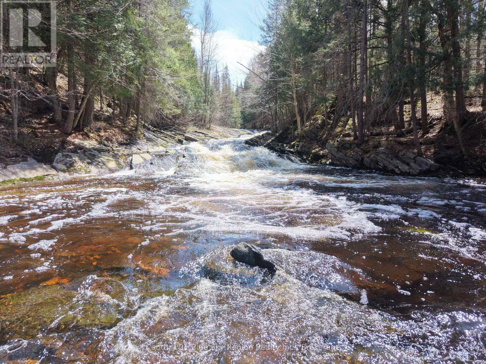 Lot 2, 3, 4, 5, Con 4 Old Nipissing Road, Nipissing, Ontario  P0H 1Z0 - Photo 21 - X13624446