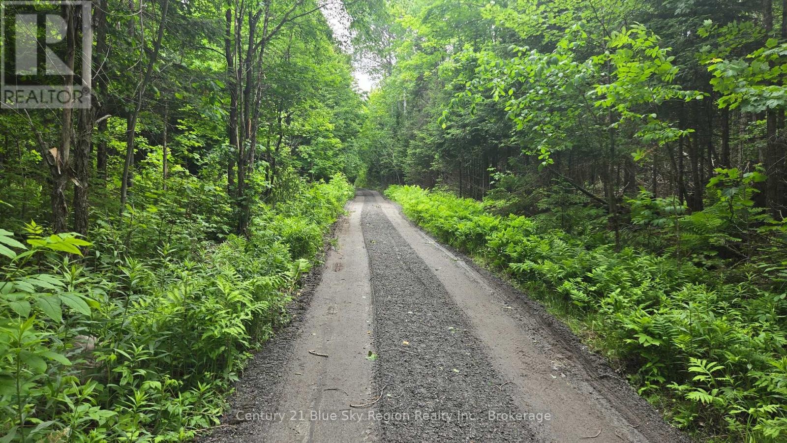 Lot 2, 3, 4, 5, Con 4 Old Nipissing Road, Nipissing, Ontario  P0H 1Z0 - Photo 25 - X13624446