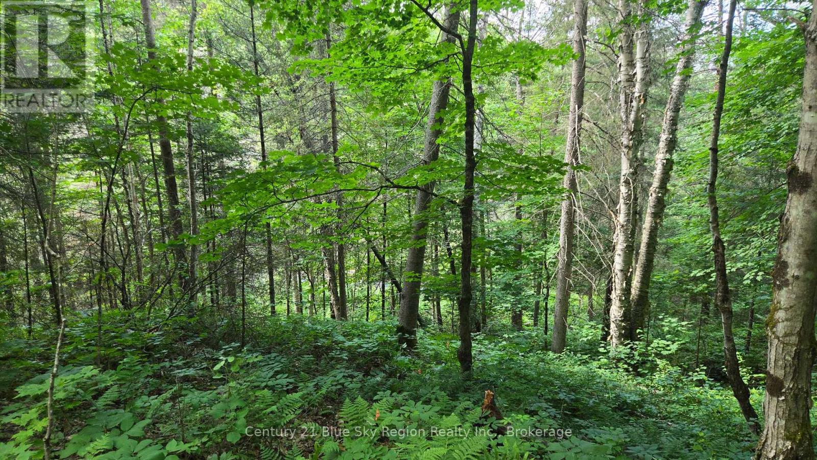 Lot 2, 3, 4, 5, Con 4 Old Nipissing Road, Nipissing, Ontario  P0H 1Z0 - Photo 27 - X13624446