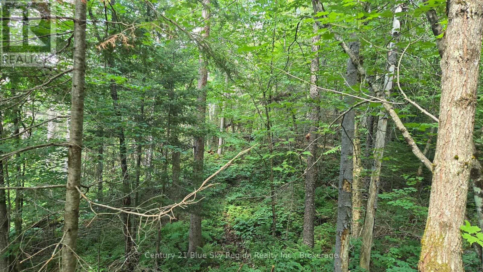 Lot 2, 3, 4, 5, Con 4 Old Nipissing Road, Nipissing, Ontario  P0H 1Z0 - Photo 28 - X13624446