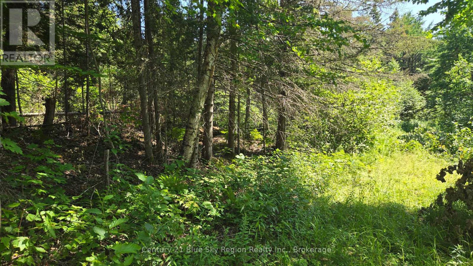 Lot 2, 3, 4, 5, Con 4 Old Nipissing Road, Nipissing, Ontario  P0H 1Z0 - Photo 29 - X13624446