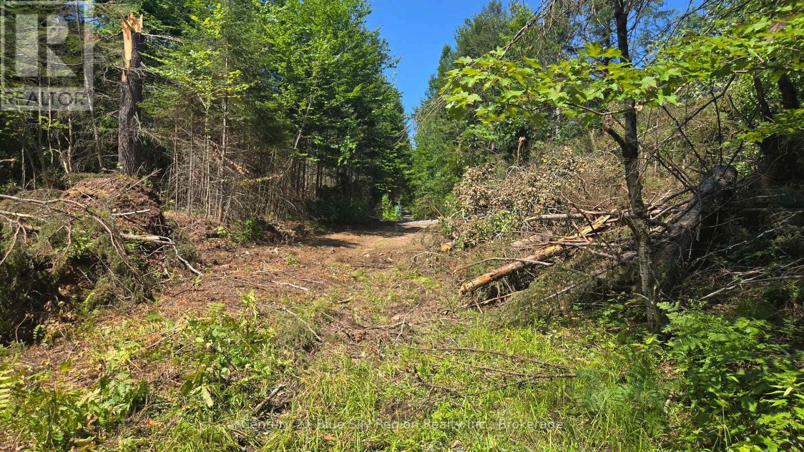Lot 2, 3, 4, 5, Con 4 Old Nipissing Road, Nipissing, Ontario  P0H 1Z0 - Photo 30 - X13624446