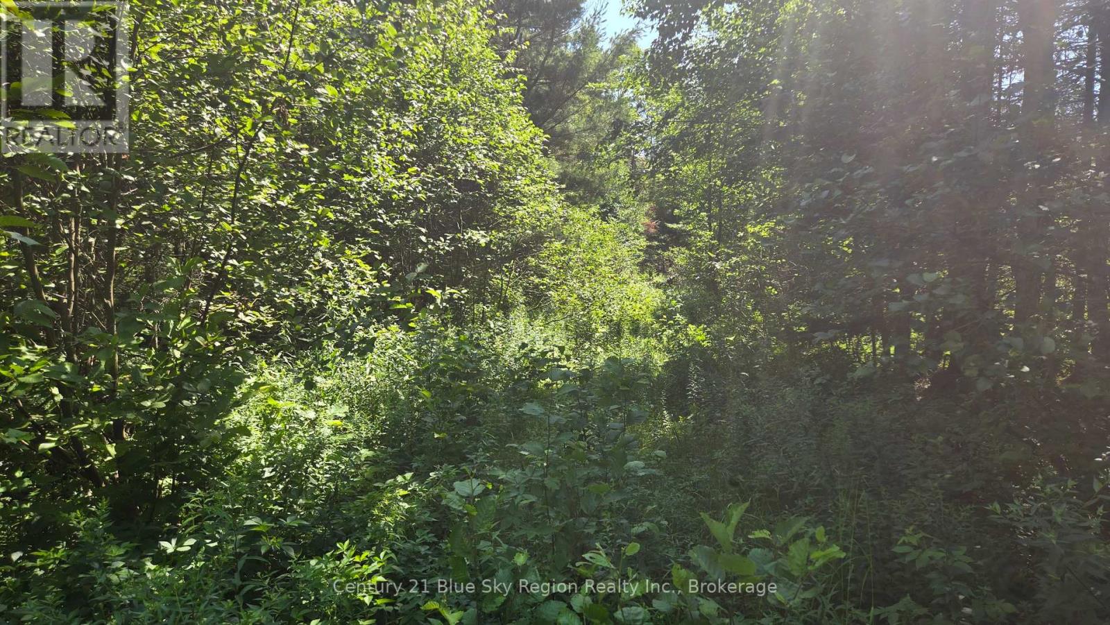 Lot 2, 3, 4, 5, Con 4 Old Nipissing Road, Nipissing, Ontario  P0H 1Z0 - Photo 31 - X13624446