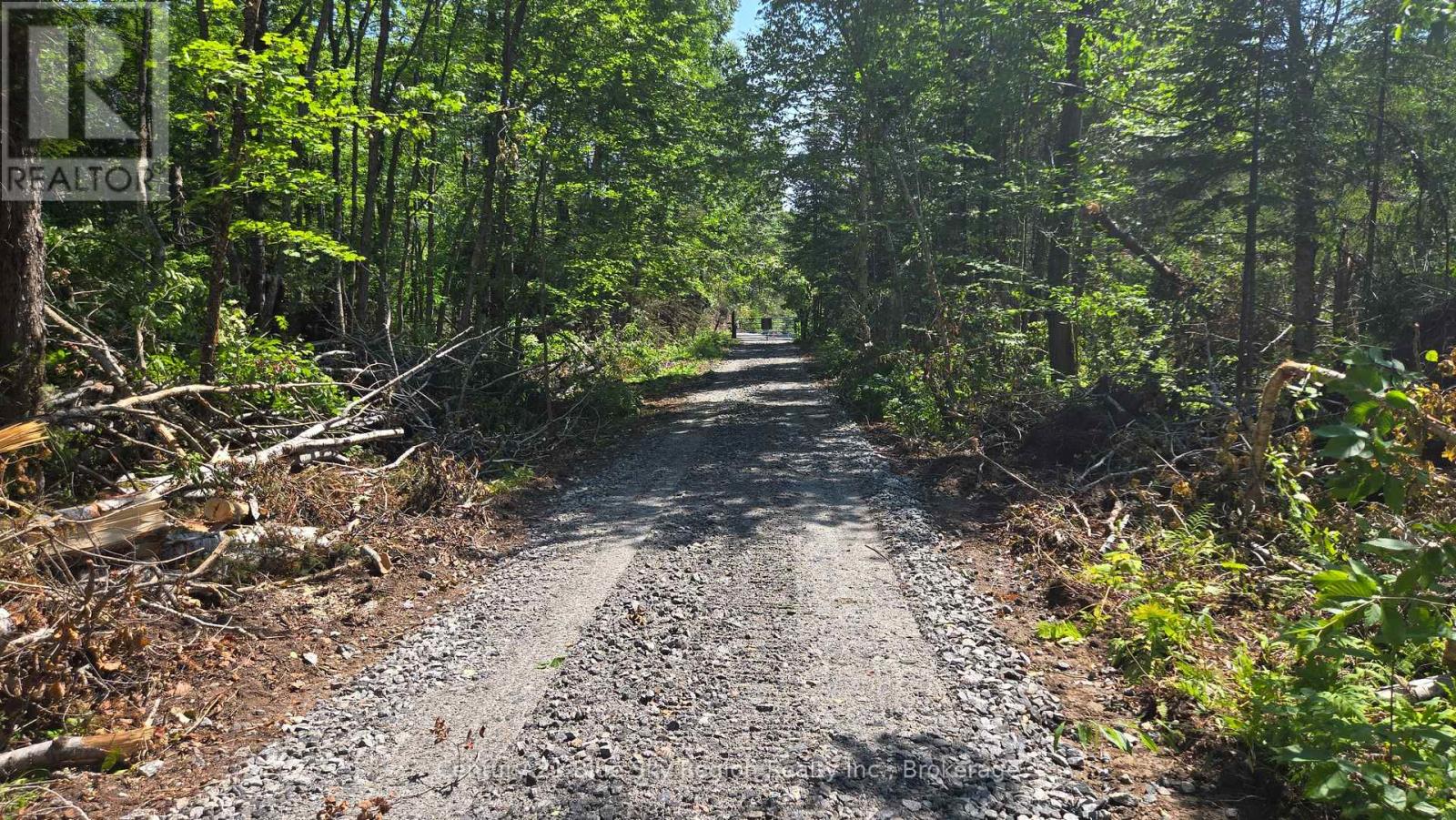 Lot 2, 3, 4, 5, Con 4 Old Nipissing Road, Nipissing, Ontario  P0H 1Z0 - Photo 32 - X13624446