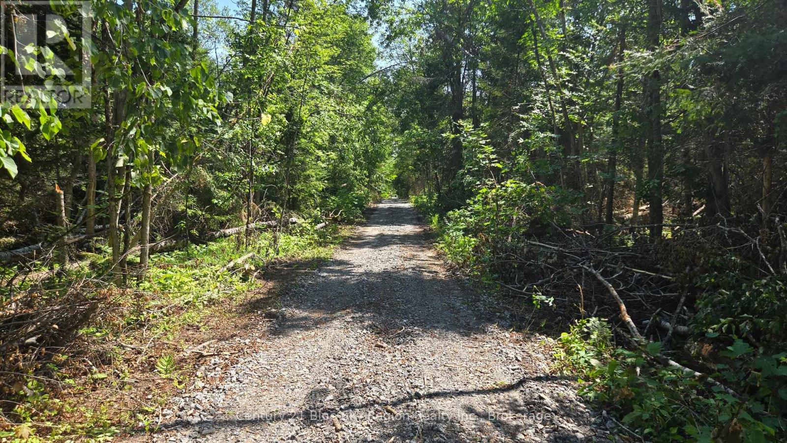 Lot 2, 3, 4, 5, Con 4 Old Nipissing Road, Nipissing, Ontario  P0H 1Z0 - Photo 33 - X13624446