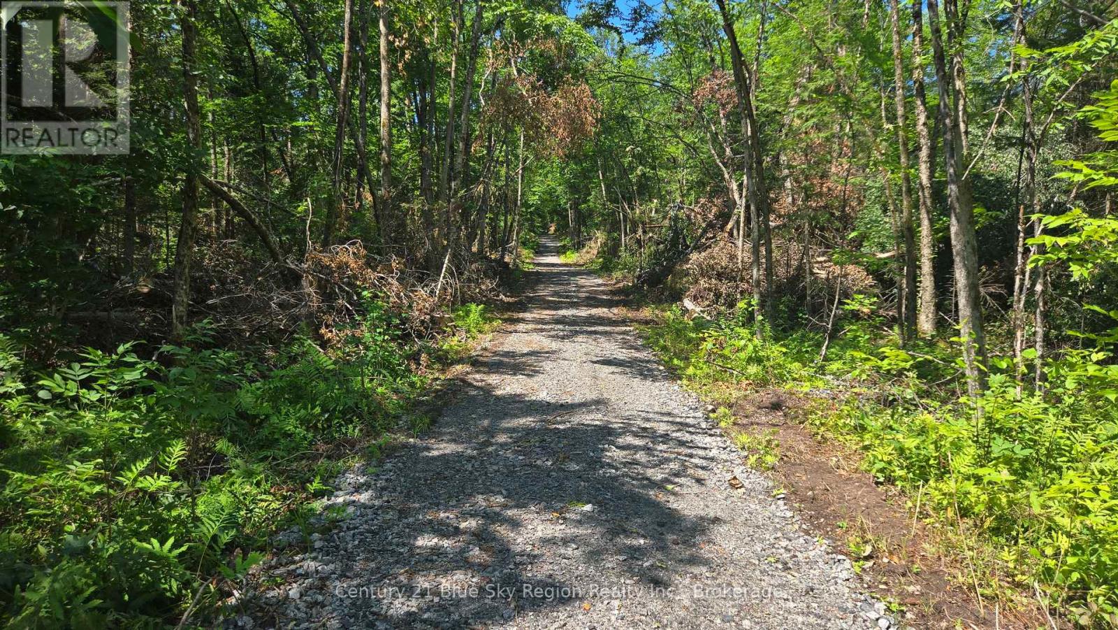Lot 2, 3, 4, 5, Con 4 Old Nipissing Road, Nipissing, Ontario  P0H 1Z0 - Photo 34 - X13624446